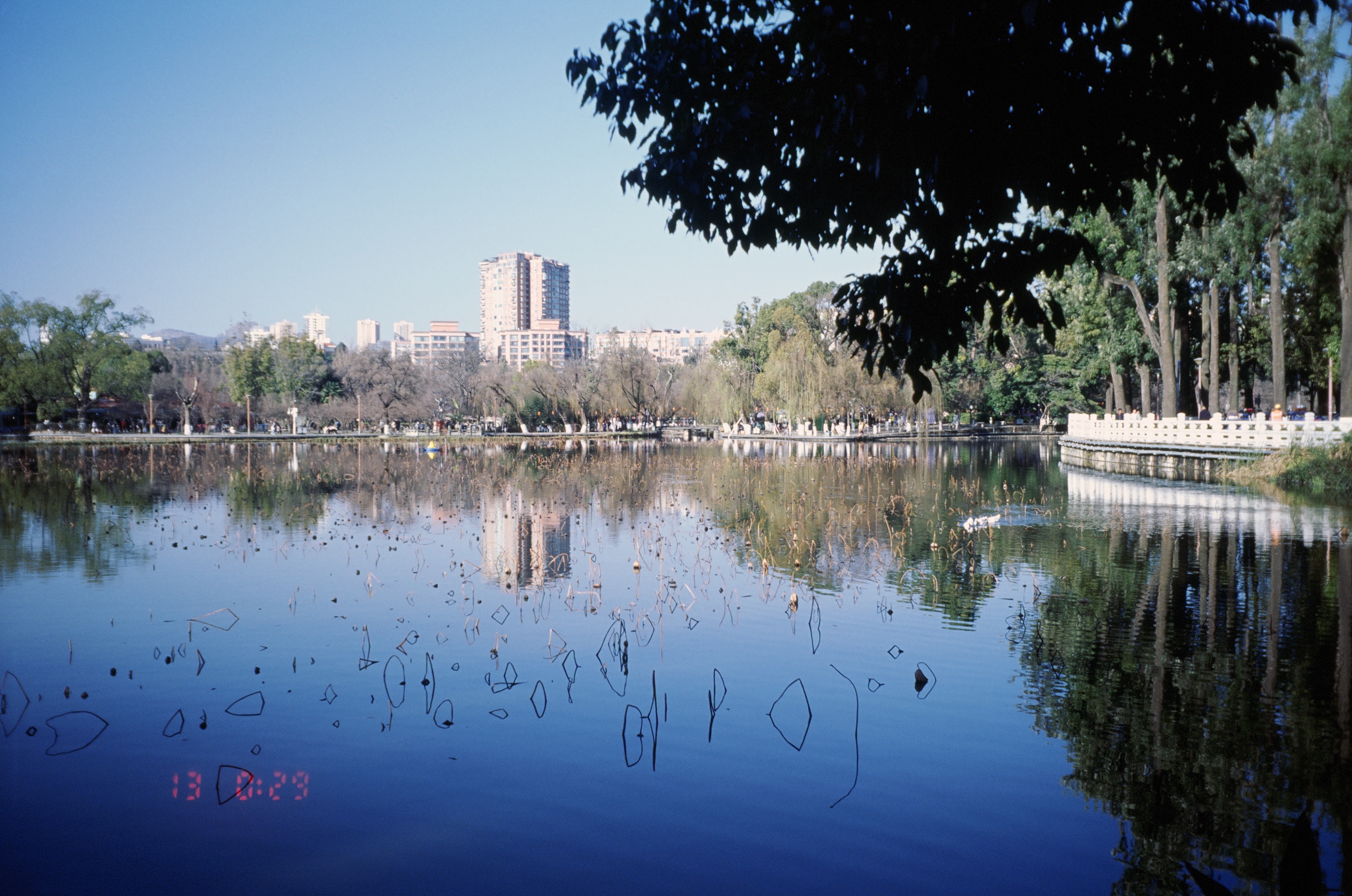 China 7
