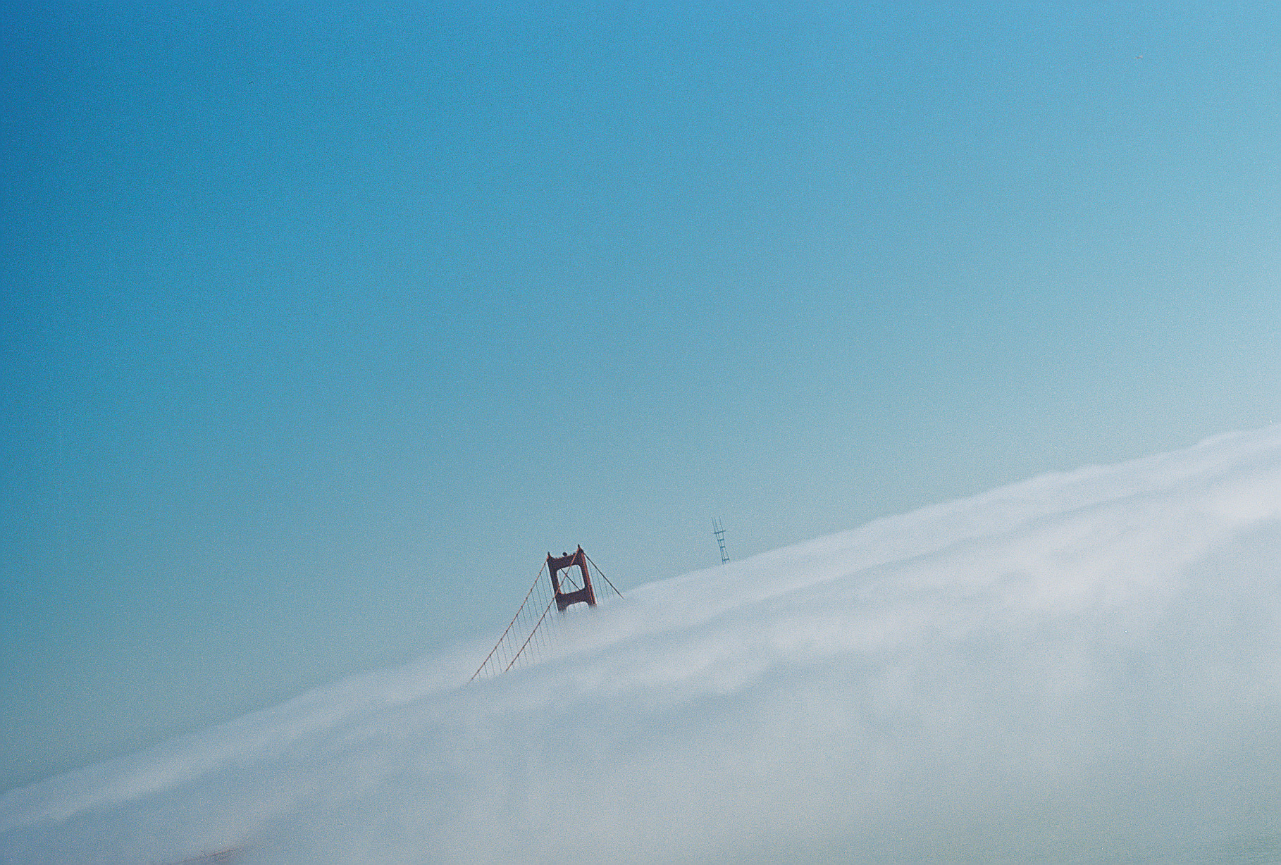 Wander 7