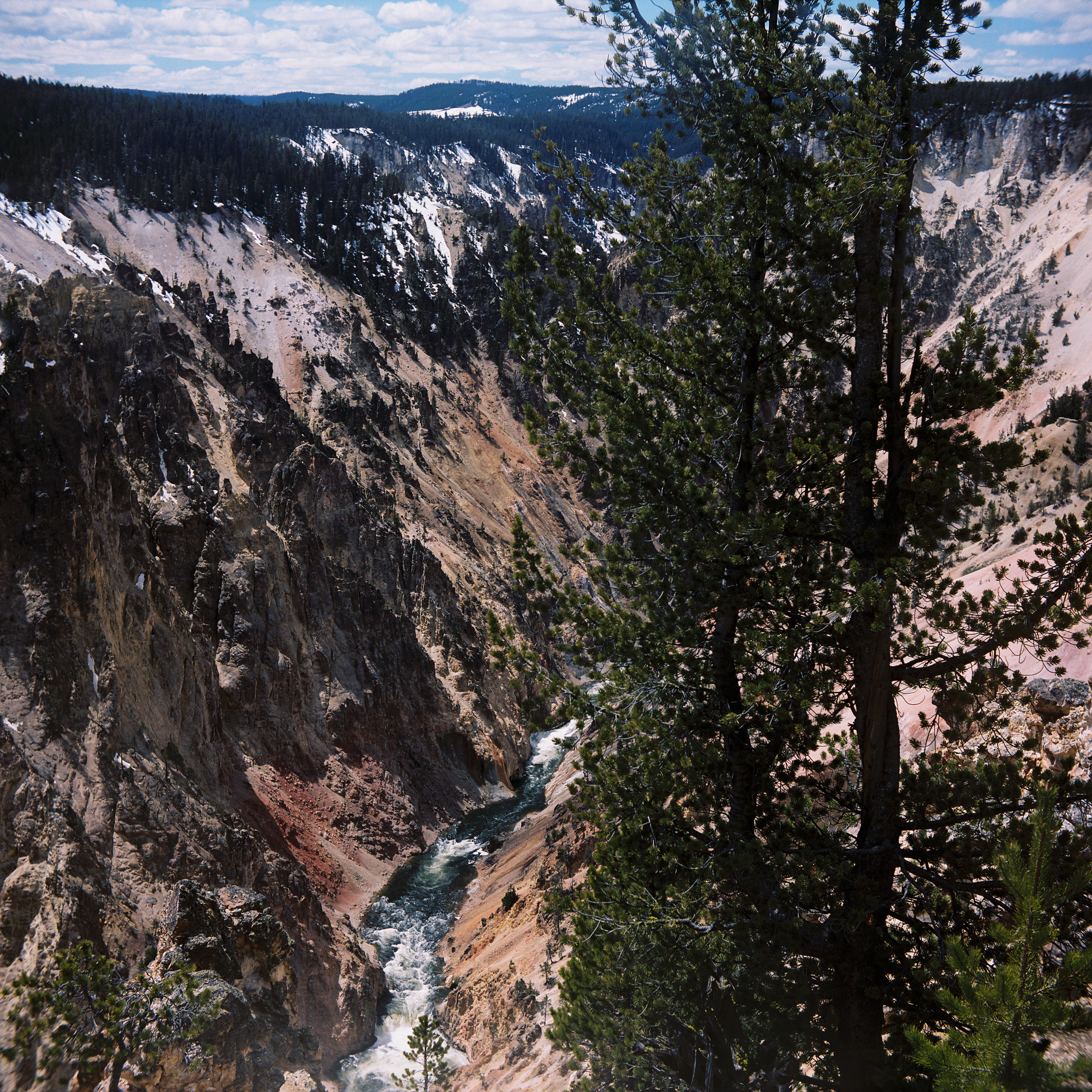 Yellowstone 2