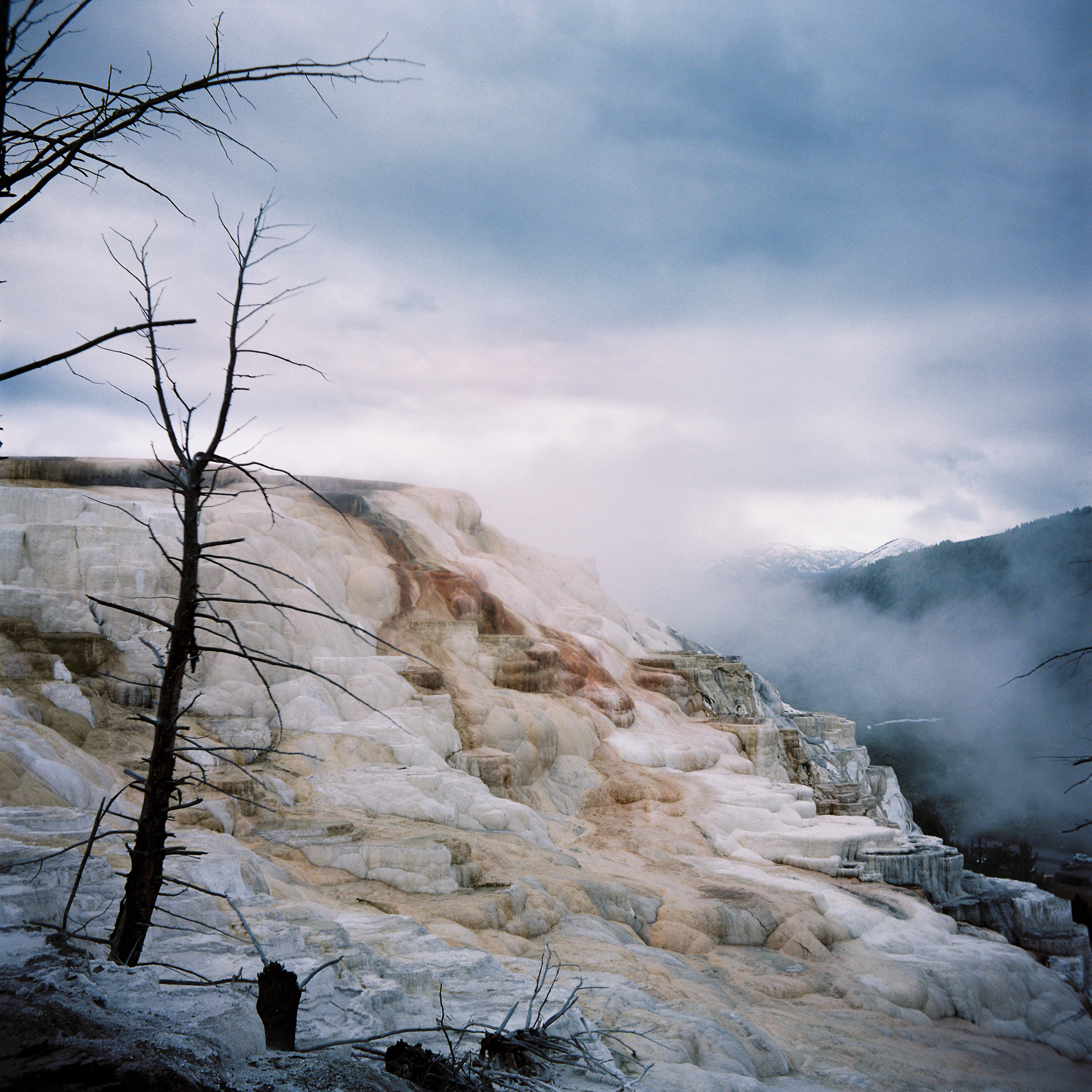 Yellowstone 3