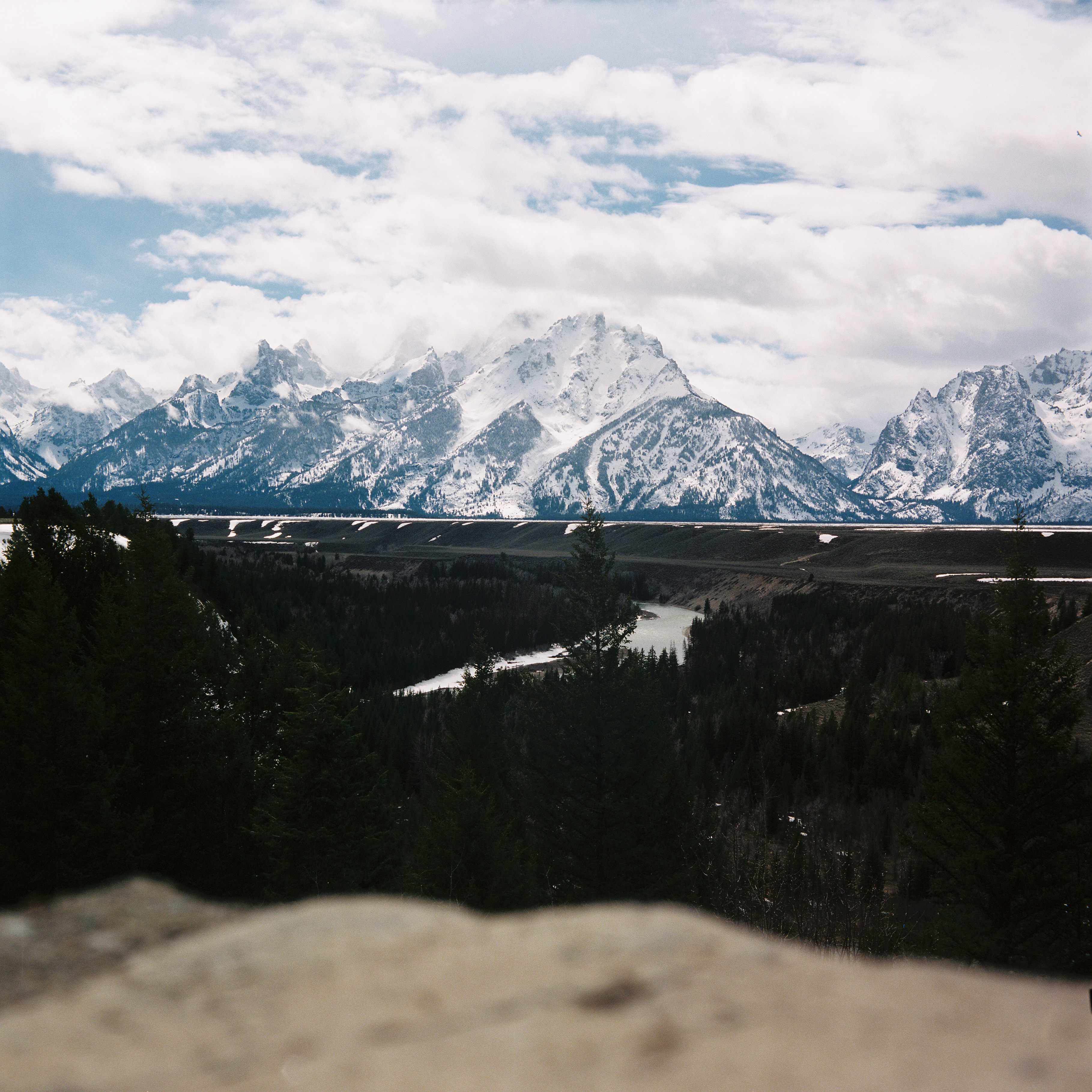 Yellowstone 5