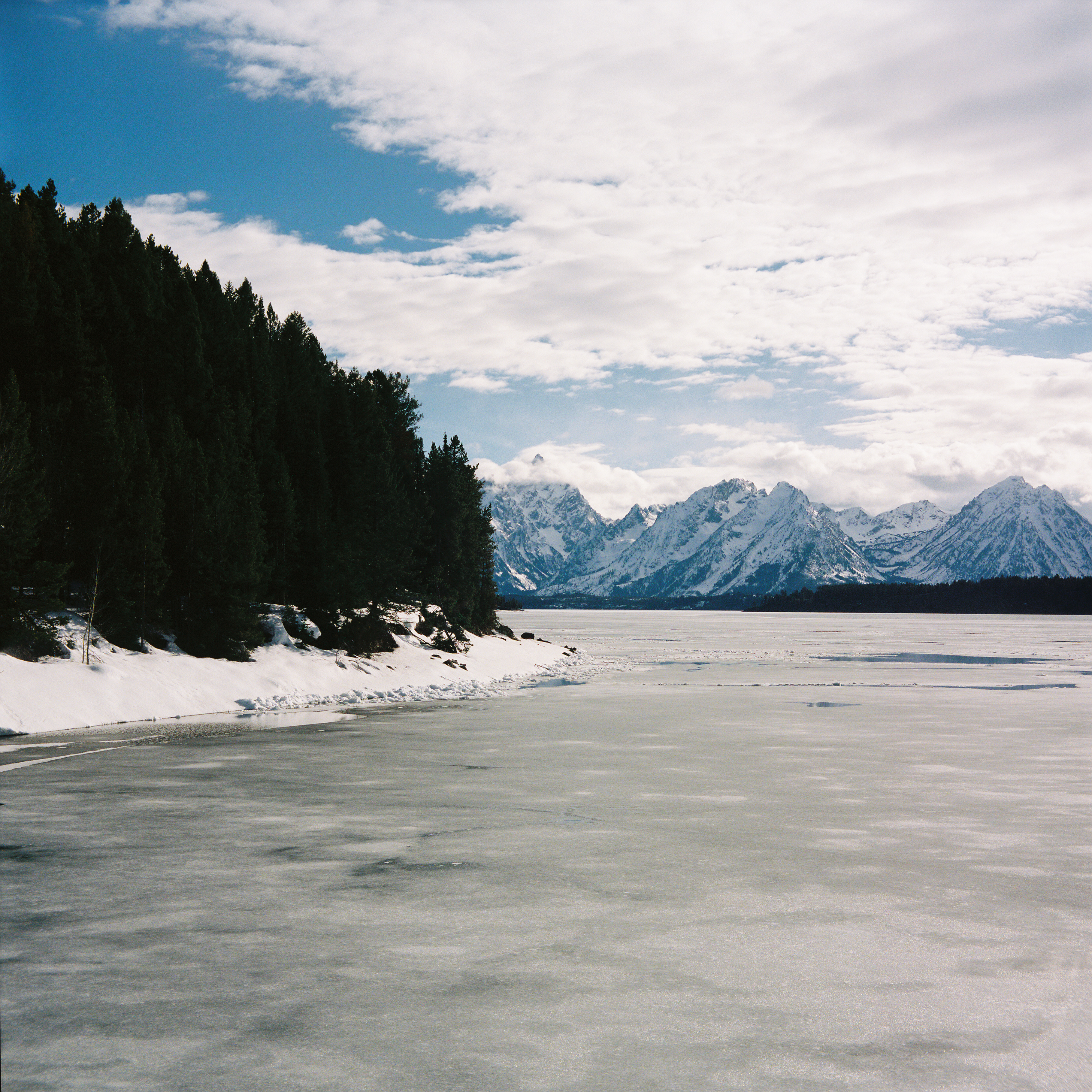 Yellowstone 6