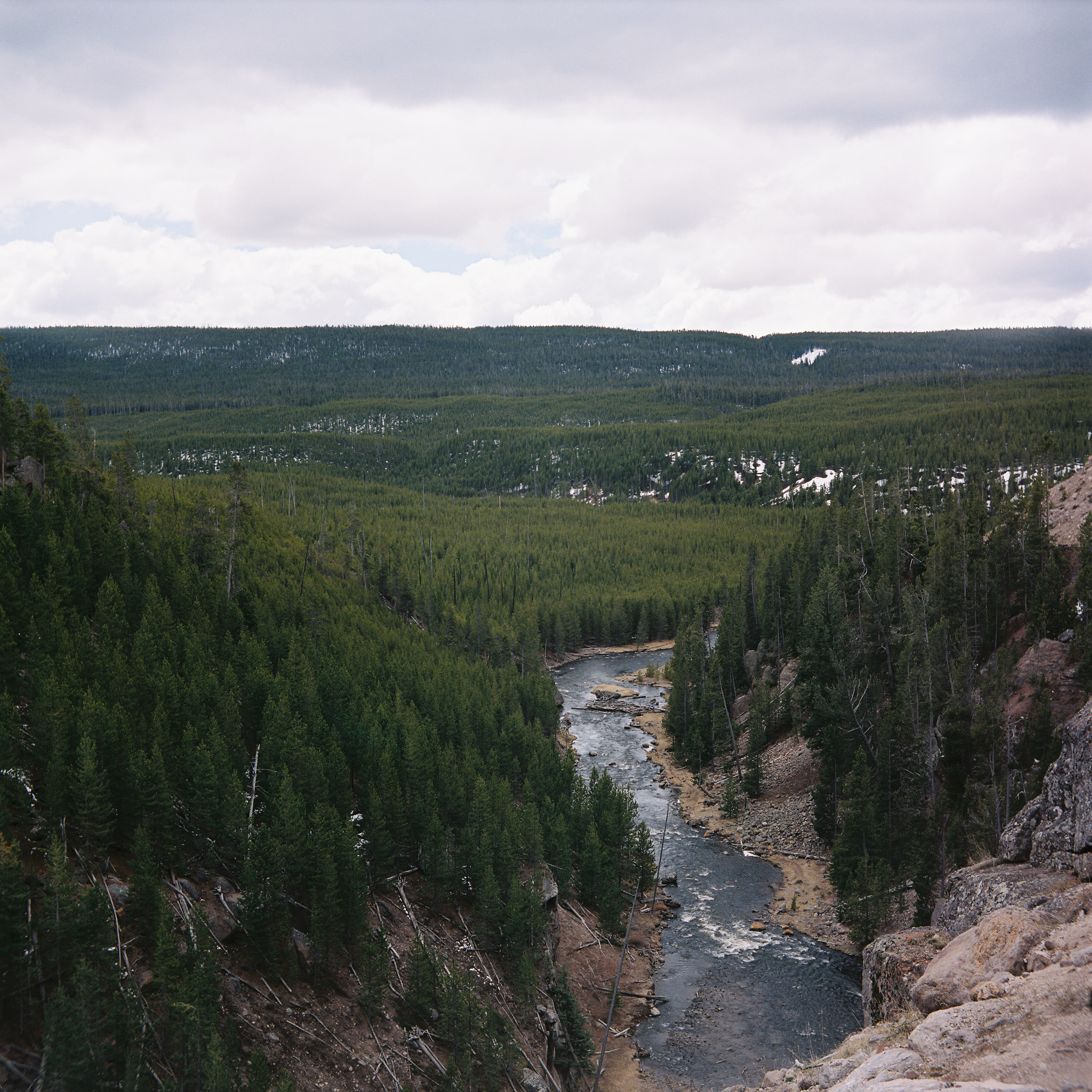 Yellowstone 7
