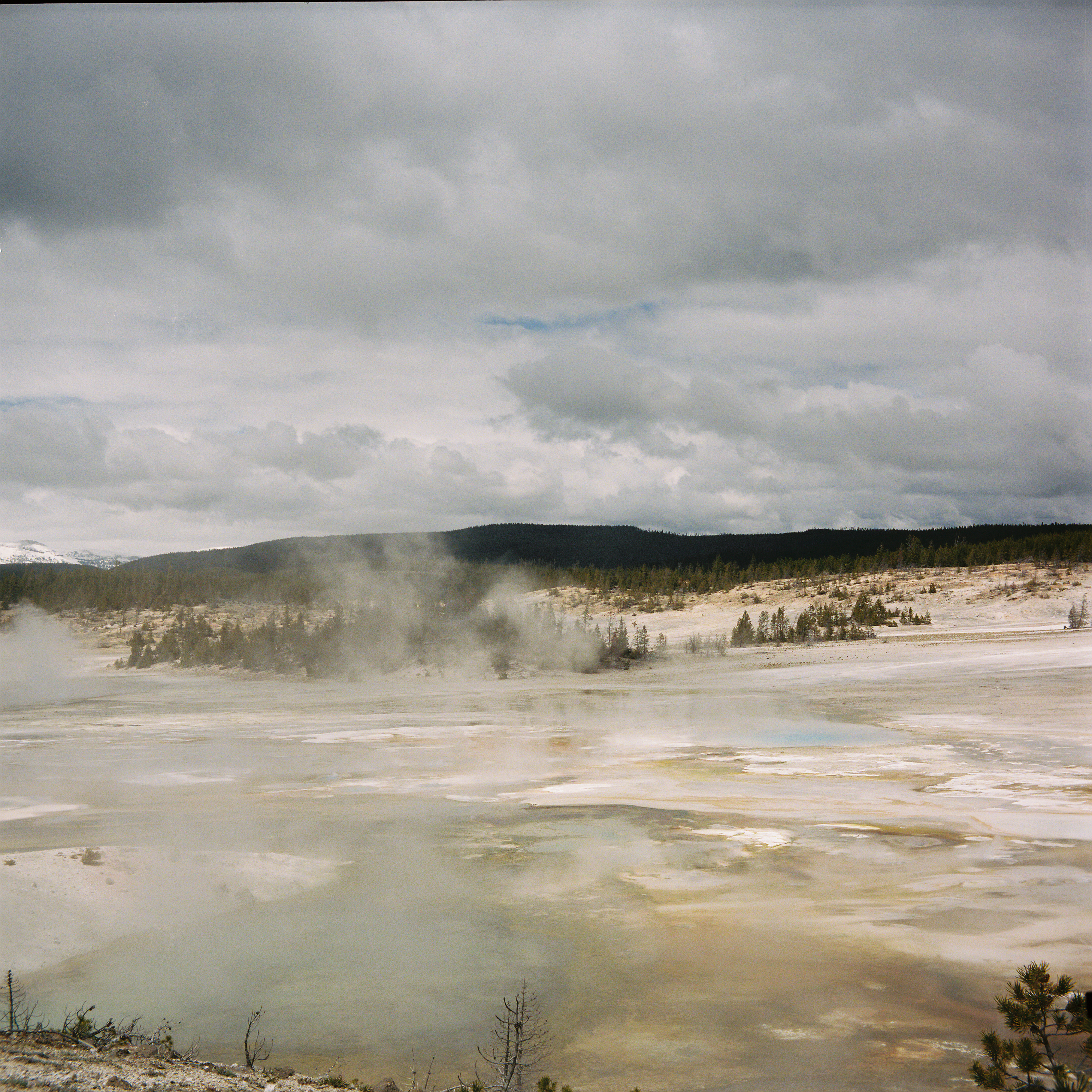Yellowstone 8