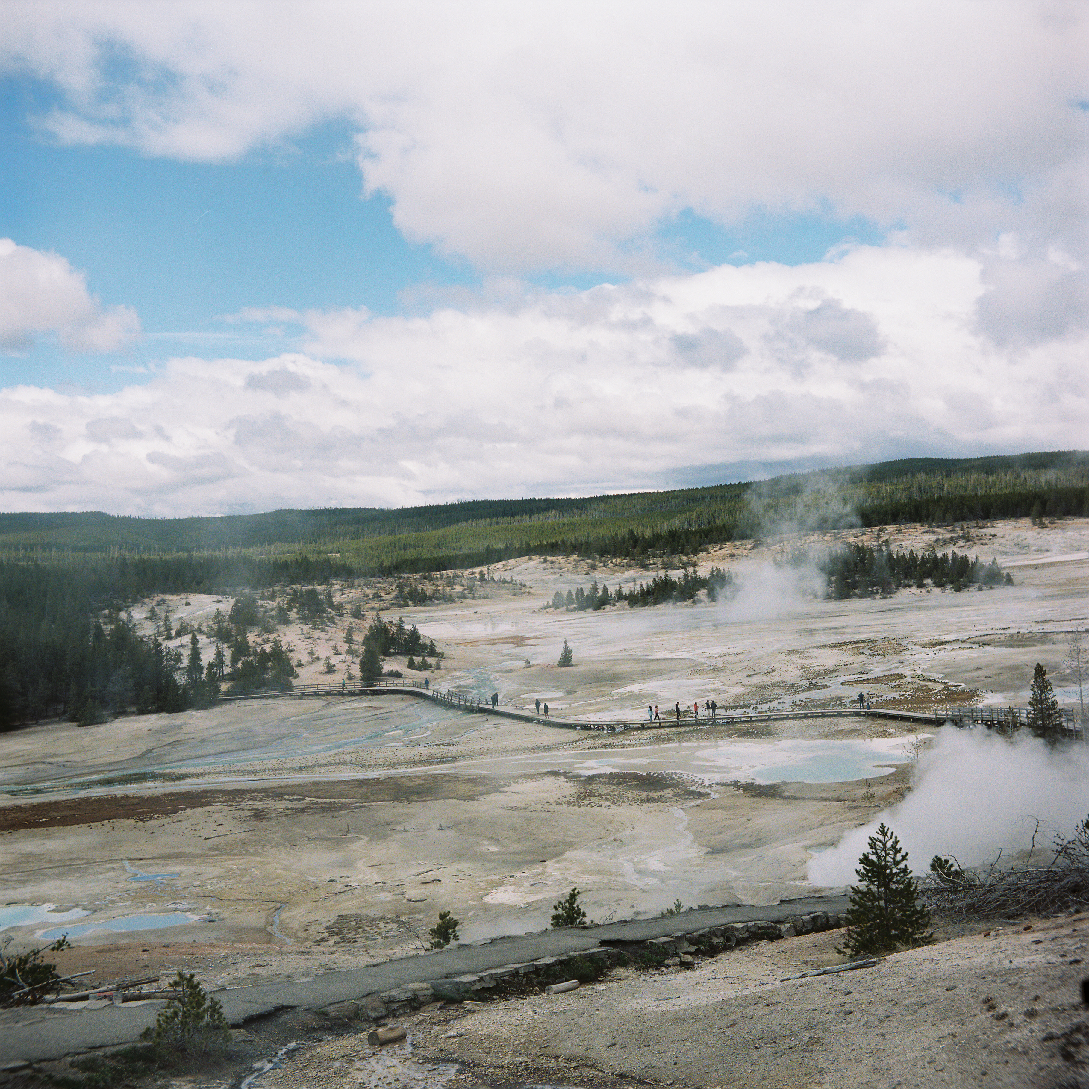 Yellowstone 9