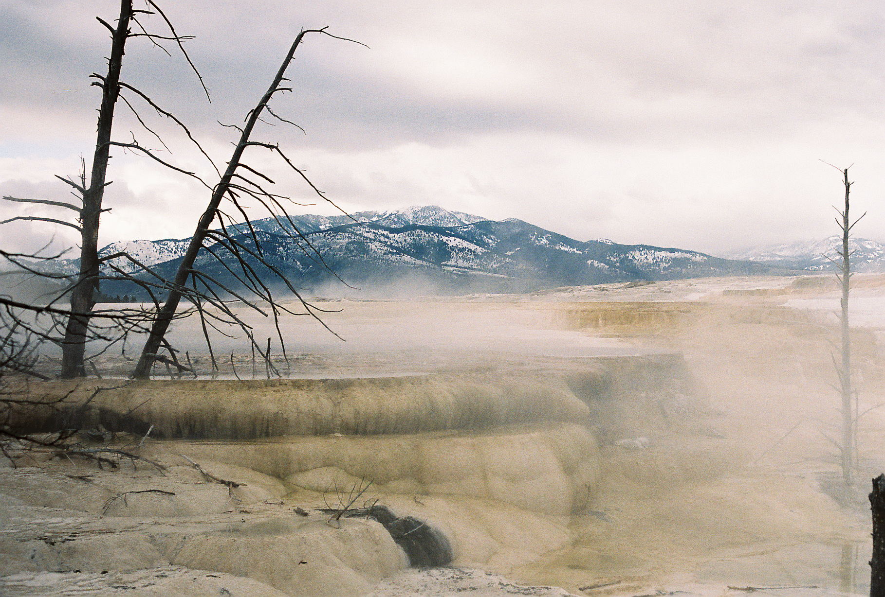 Yellowstone 35mm 11