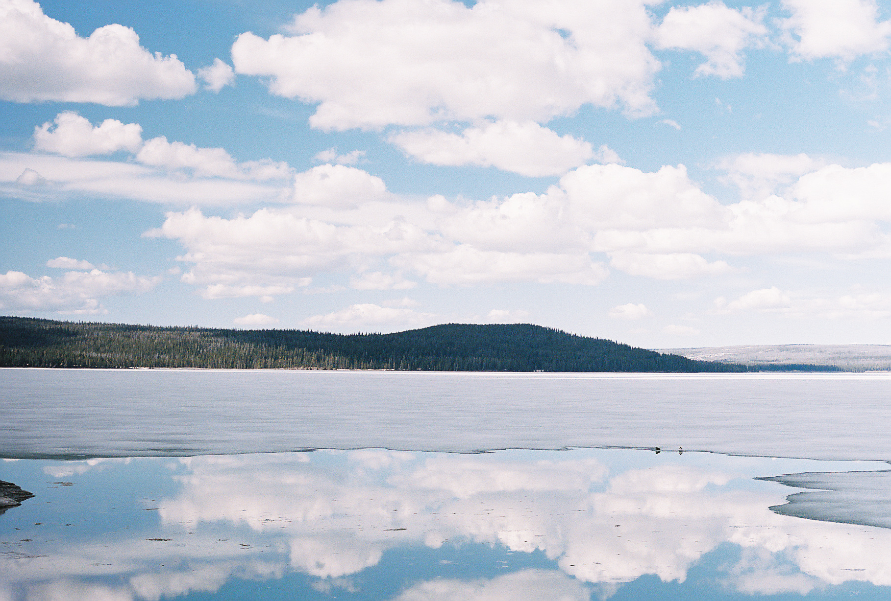 Yellowstone 35mm 12
