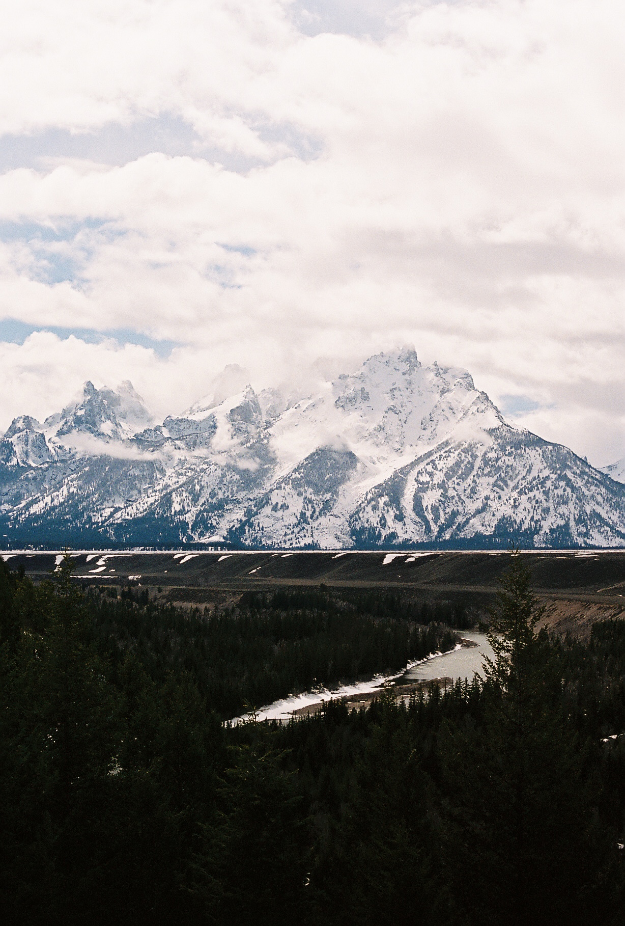 Yellowstone 35mm 3