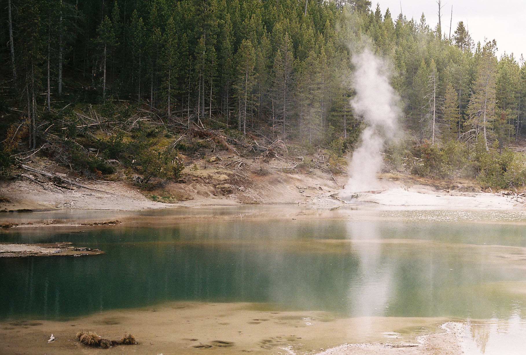Yellowstone 35mm 6