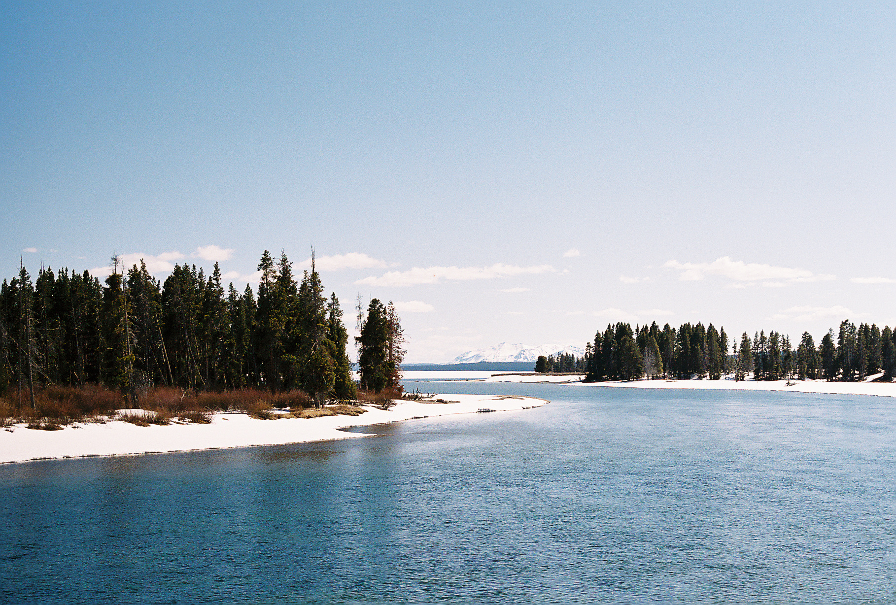 Yellowstone 35mm 9